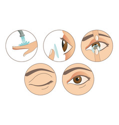 Contact Lenses Instruction How To Use