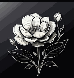 Hand Drawn Sketch Of Peony Flower Black And White