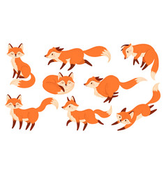 Cartoon Red Fox Funny Foxes With Black Paws Cute