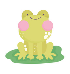 Cute frog face cartoon Royalty Free Vector Image