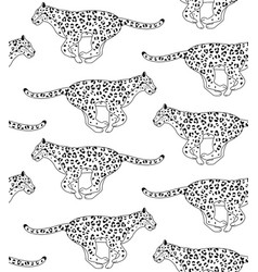 Seamless Pattern Of Running Outline Leopard