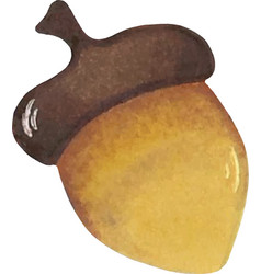 Drawing Of A Watercolor Acorn