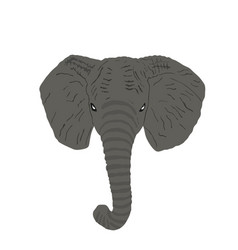 Elephant Head Isolated