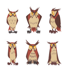 Emotional Owls Set Brown Owl Characters With