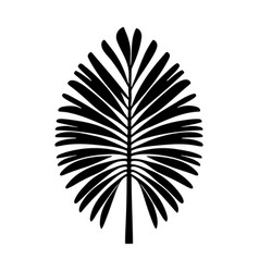 Palm Leaf Silhouette Logo Isolated On White