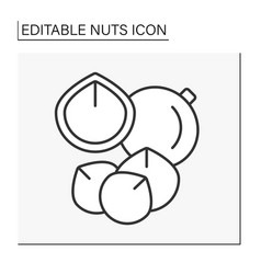 Macadamia Nut Line Icon