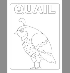 Animal Coloring Page For Kids Art Line