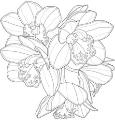 Realistic Orchid Flowers Bouquet Graphic Template