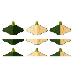 Set Of Green Patty Pan Squash Flat Style