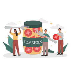 Canned Tomatoes Concept