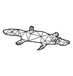 Platypus Swimming Polygonal