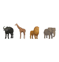 African Animal With Buffalo Giraffe Lion And