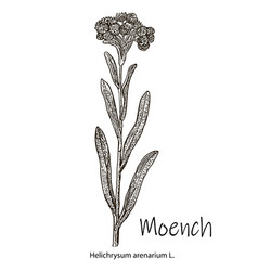 Moench Vintage Engraved More