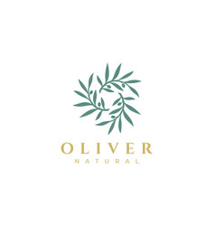 Olive Branch Logo