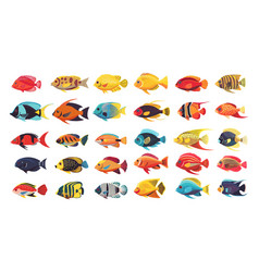 Ocean Fish Cartoon Set Cod Perch Herring