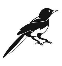 Magpies Vector Images (over 750)