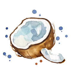 Fresh Open Coconut Watercolor Painting