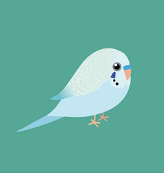 Cute Af A Light Blue Budgie