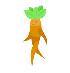 Natural Mandrake Icon Isometric Green Leaf