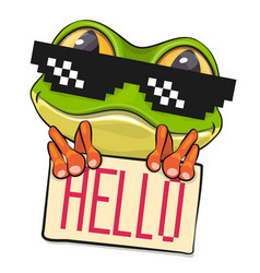 Cartoon Frog In Pixel Sun Glasses Isolated