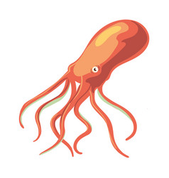 Orange Octopus Design