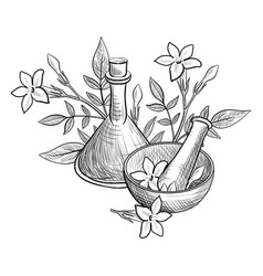 Drawing Jasmine Essential Oil