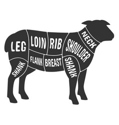 Lamb Meat Cut Scheme Butcher Black Diagram