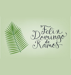 Feliz Domingo De Ramos Translation From