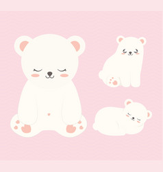 Three Cute Bears