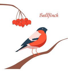 Bullfinch Sit On Branch And Rowan Lettering