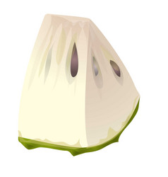 Slice Soursop Icon Cartoon Graviola Juice