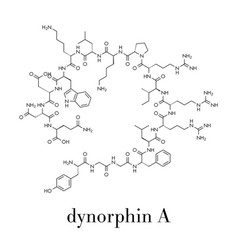 Dynorphin A Endogenous Opioid Peptide Molecule