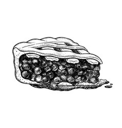 Sketch Of Blueberry Pie