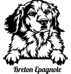 Peeking Breton Espagnole Dog - Dog Lover Owner