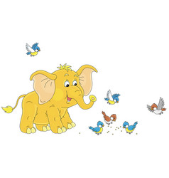 Funny Baby Elephant And Merry Small Birds