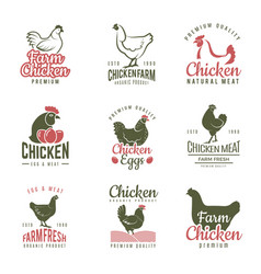 Pollo Labels Fast Food Chicken Logotypes Badges