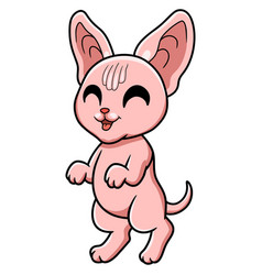 Cute Sphynx Cat Cartoon Standing