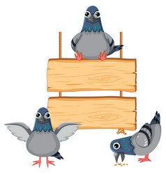 Pigeon Cartoon With Hanging Wooden Board Sign