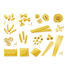 Different Types Of Pasta Italian Noodles