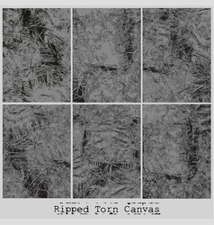 Ripped Torn Canvas