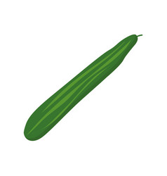 Colorful Cucumber Clipart Cartoon