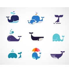 Collection Of Whale Icons