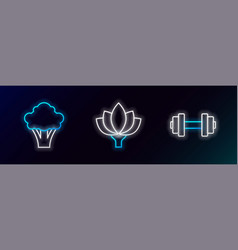 Set Line Dumbbell Broccoli And Lotus Flower Icon