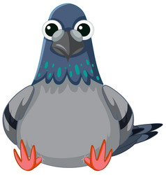 Cute Pigeon Bird Cartoon Character Sitting