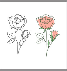 Rose Flower Linear Drawing Decorative Beautiful