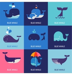 Collection Of Whale Icons