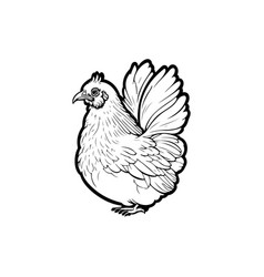 Chicken Icon Hand Draw Black Agriculture Colour