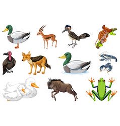 Set Of Different Kinds Of Animals