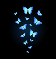 Flock Of Bright Blue Butterflies