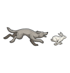 Wolf Chasing Hare Sketch